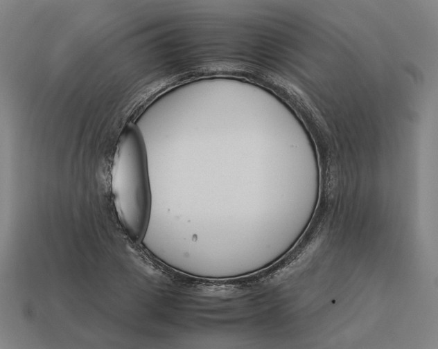 X0000113350833200910061017