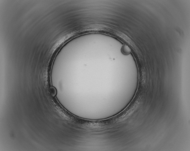 X0000113350834200910061017