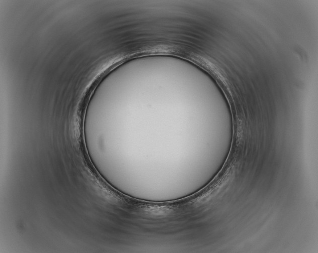 X0000113350835200910061017