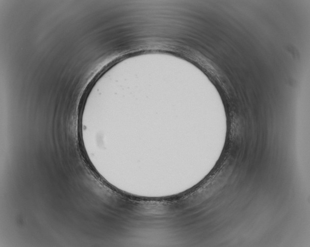 X0000113350836200910061017