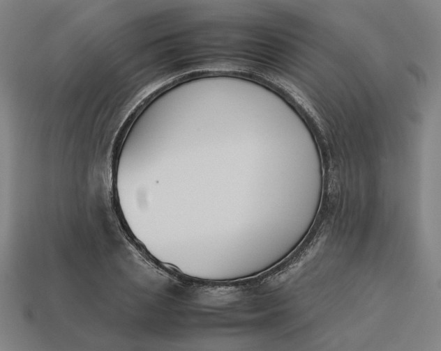 X0000113350837200910061017