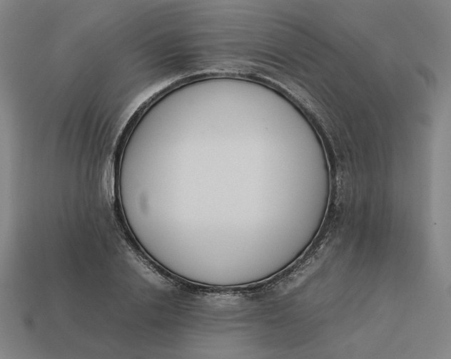 X0000113350838200910061017