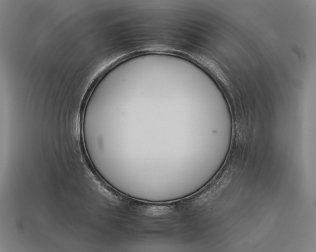 X0000113350839200910061017