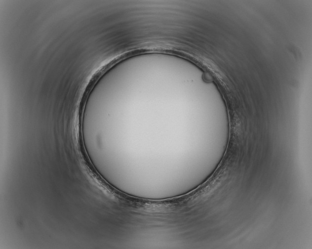 X0000113350840200910061017