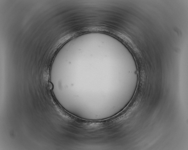 X0000113350841200910061017