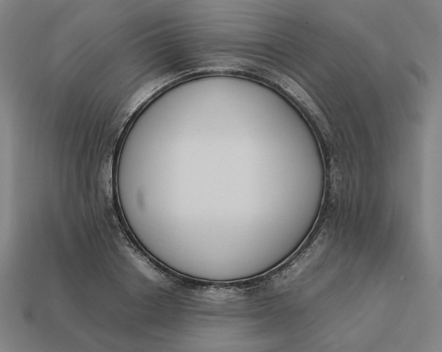 X0000113350842200910061017