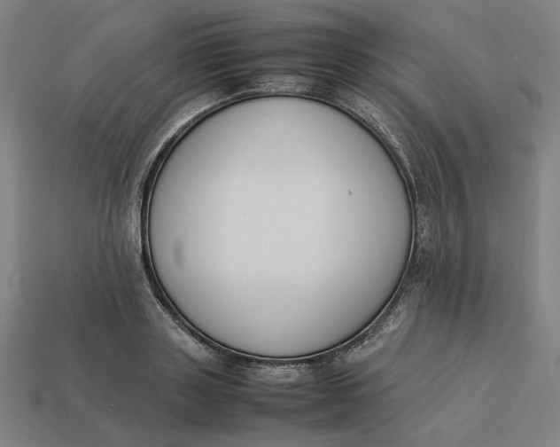 X0000113350843200910061017