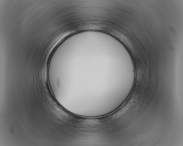 X0000113350844200910061017