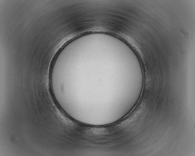 X0000113350845200910061017