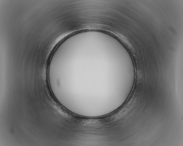 X0000113350846200910061017