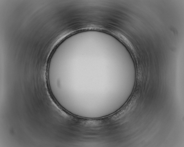 X0000113350847200910061017