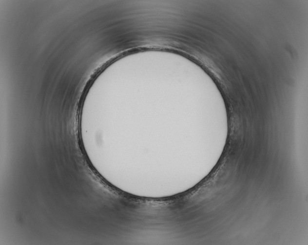 X0000113350848200910061017