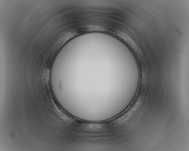 X0000113350849200910061017