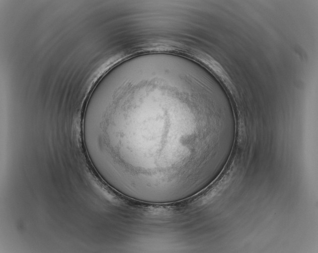 X0000113350850200910061017