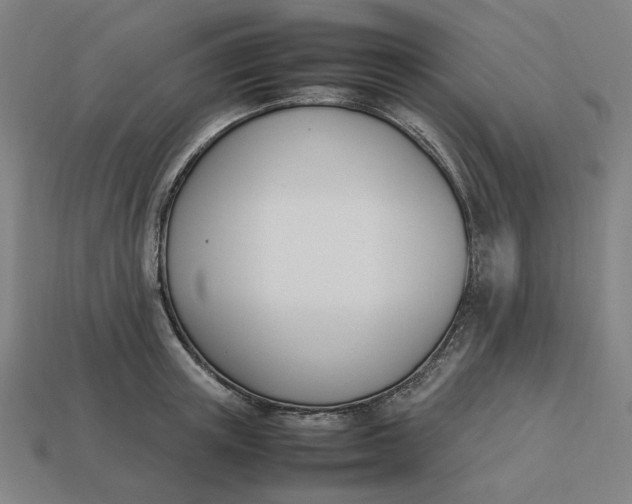 X0000113350851200910061017