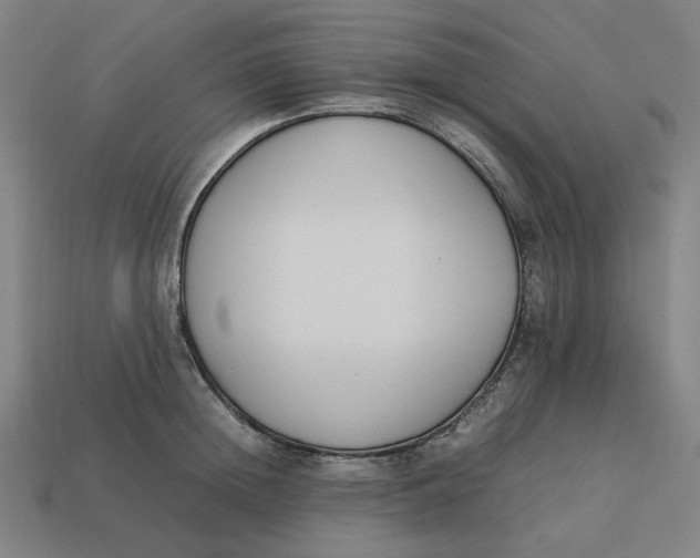 X0000113350852200910061017