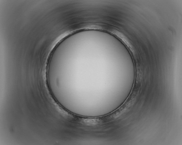 X0000113350853200910061017