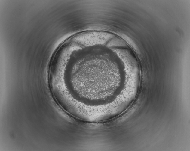 X0000113350854200910061017