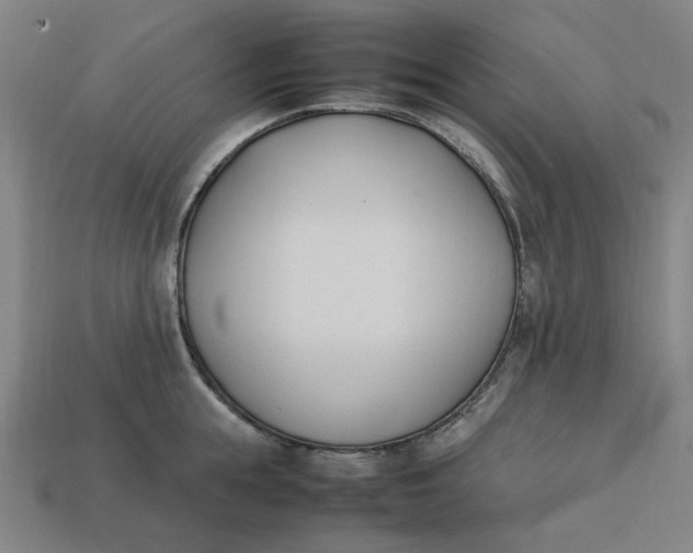 X0000113350855200910061017