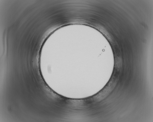 X0000113350856200910061017