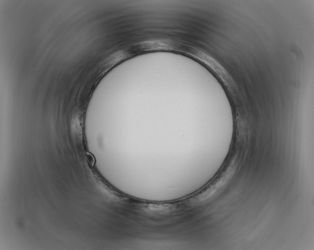 X0000113350857200910061017