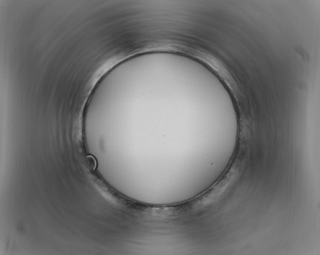 X0000113350858200910061017