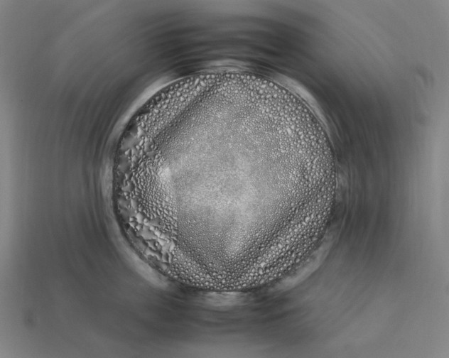 X0000113350859200910061017