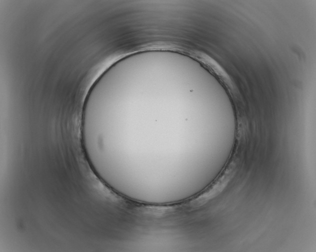 X0000113350860200910061017