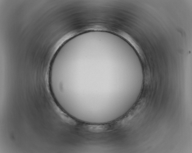 X0000113350861200910061017