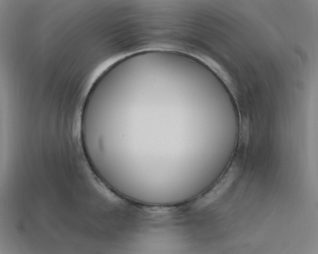 X0000113350862200910061017