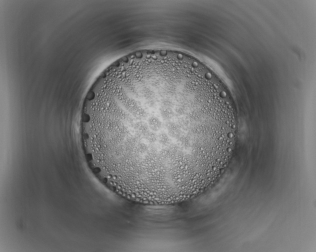 X0000113350863200910061017