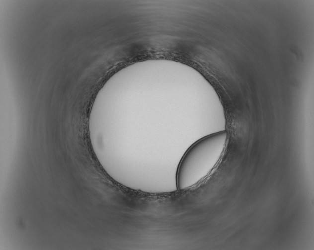 X0000113350865200910061017