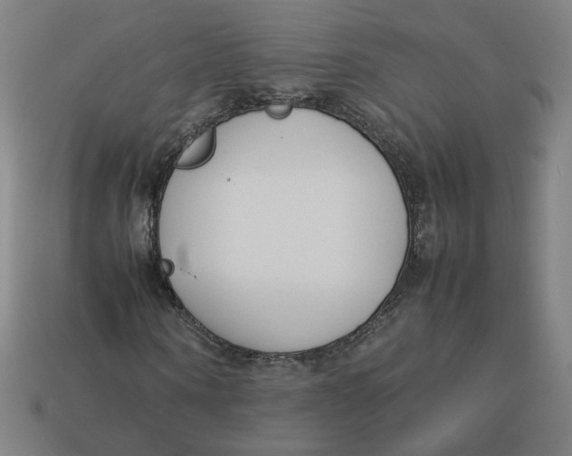 X0000113350866200910061017