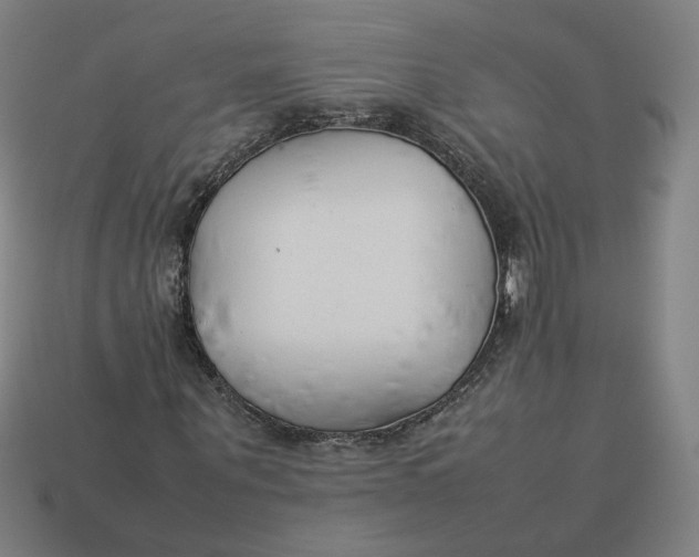 X0000113350867200910061017