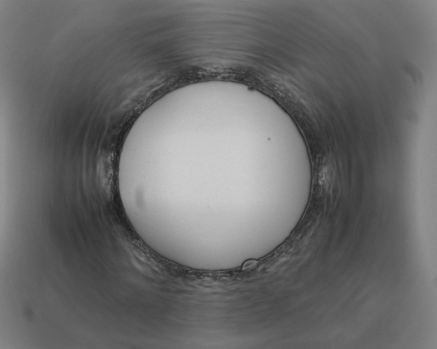 X0000113350868200910061017