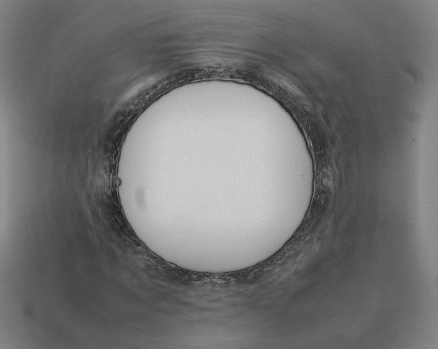 X0000113350869200910061017