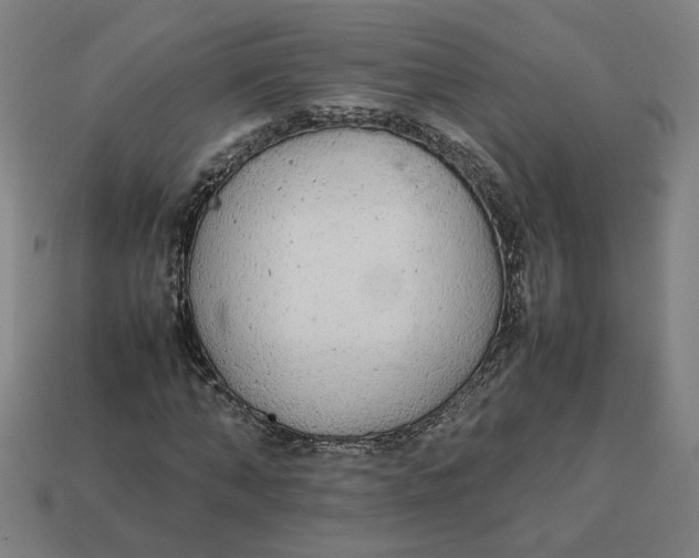 X0000113350870200910061017