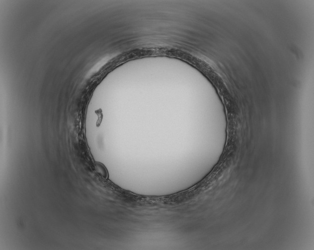 X0000113350871200910061017