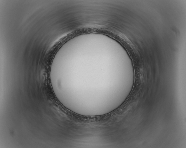 X0000113350872200910061017