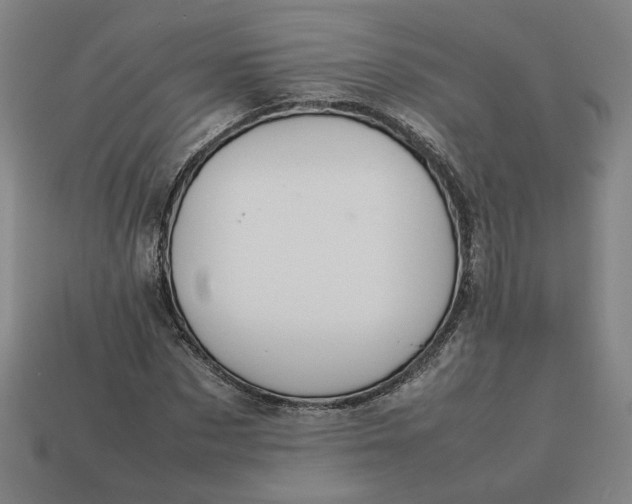 X0000113350873200910061017