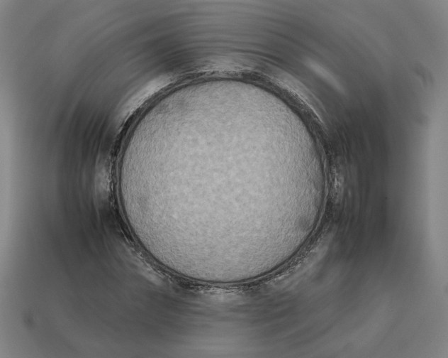 X0000113350874200910061017