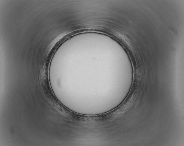 X0000113350875200910061017