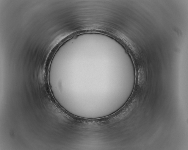 X0000113350876200910061017