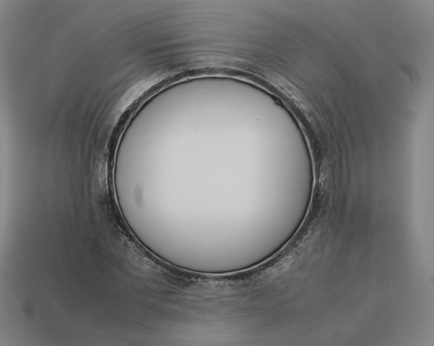 X0000113350877200910061017