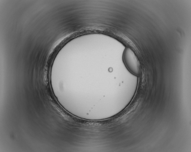 X0000113350878200910061017