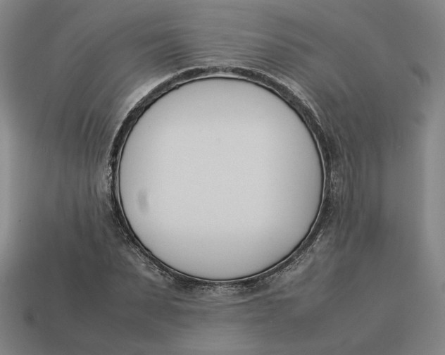 X0000113350879200910061017