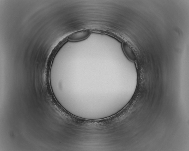 X0000113350880200910061017