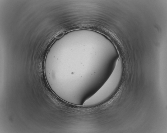 X0000113350881200910061017