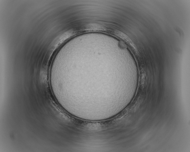 X0000113350882200910061017