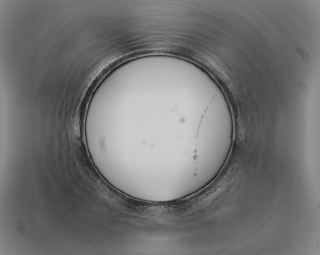 X0000113350883200910061017